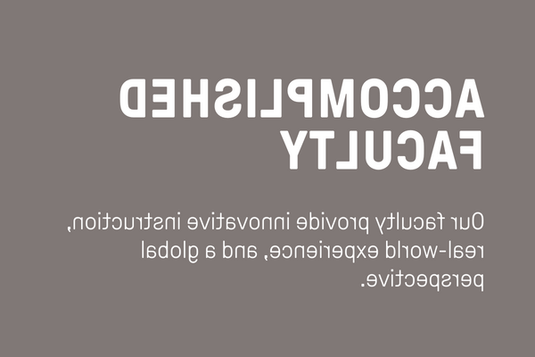 Accomplished Faculty: Our faculty provide innovative instruction, 现实世界的经验, 以及全球视角. 
